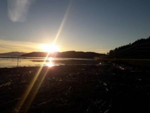 This picture was taken about a month ago, close to sunset, over the driftwood catch near the lake. I still marvel at how  beautiful this part of the country is.This picture was taken about a month ago, close to sunset, over the driftwood catch near the lake. I still marvel at how  beautiful this part of the country is.